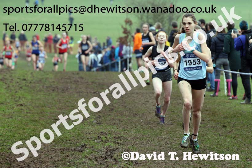 Womens under-17s Inter Counties Cross Country, Prestwold Hall, Loughborough. Photo: David T. Hewitson/Sports for All Pics